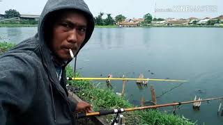 Mancing nila pake jaring bendera