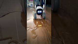 #robotdog  #loona Robot Dog Isn’t this more fun than an iron egg