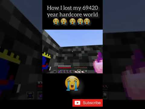 I lost my hardcore world