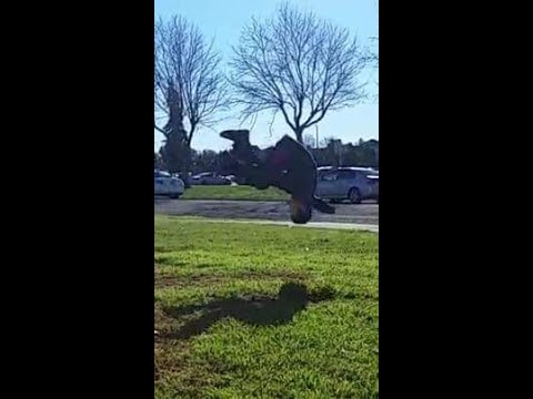 Quick Leg Workouts