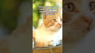 Change Your Life #growthlines #foryouシ #trendingshorts #goalsetting #changeyourlife #daliyroutine