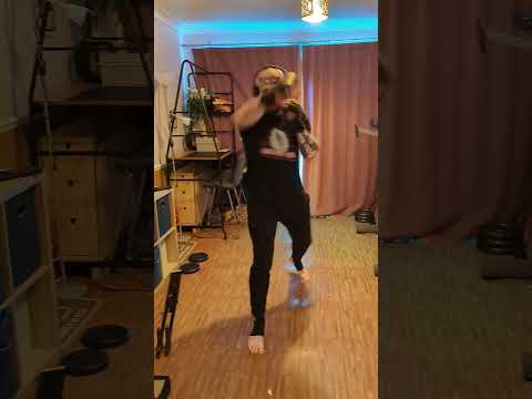 Zen Ninja San Shou Training!