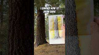 I learned how to draw bark! #sketchbook #sketching #pleinair #inkdrawing #ponderosa #arizona #art