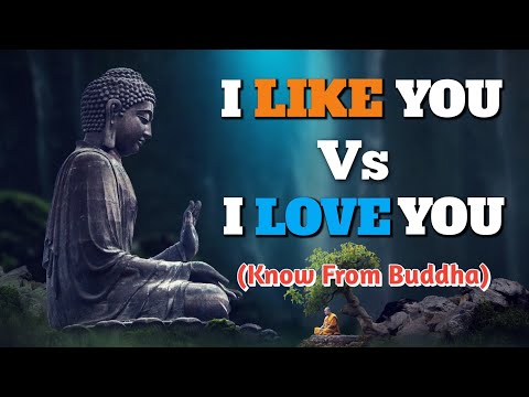 Difference Between i Like You And i Love You | Buddha Quotes | Buddha Teaching | Motivational Quotes