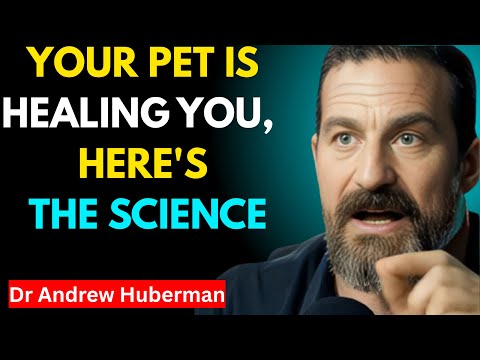This Is How Your Pet Is Saving Your Sanity Every Day – Dr. Andrew Huberman