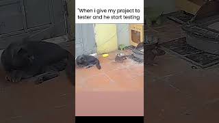 how Tester take project #coding #programming #python #javascript #webdevelopment #css #html