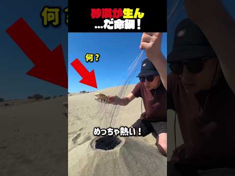砂漠が生んだ命綱 !