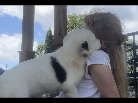 My Service of Heart to Care (Story 17)
