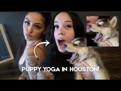 PUPPY YOGA IN HOUSTON
