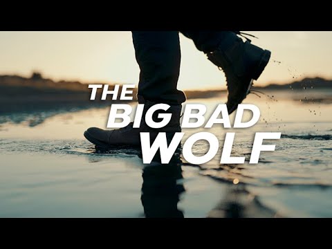 The Big Bad Wolf (Canon R3 Cinematic)