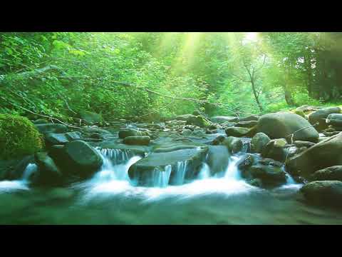 Relaxing Music+Soft creek Sounds. Soothing M. for Sleeping, Stress Relief, Relaxation, Concentration