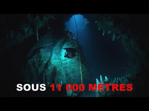 Plus vous plongez profondément, plus les créatures deviennent étranges.
