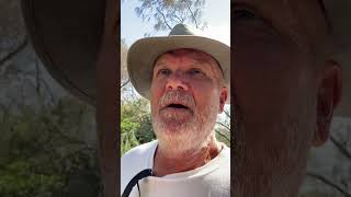 More Python inaction.