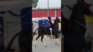 Bhujhangi Singh Horse Riding #nihangsingh #shorts