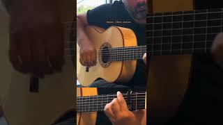 Flamenco Guitar “BULERİAS”