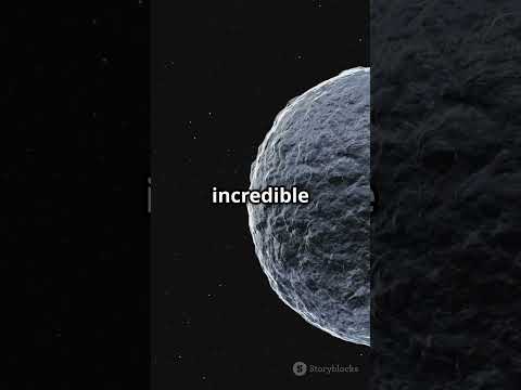 Super Earth HD 20794 d  A New Hope for Life
