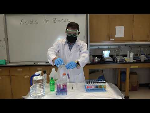 National Chemistry Week Demos: pH of household items