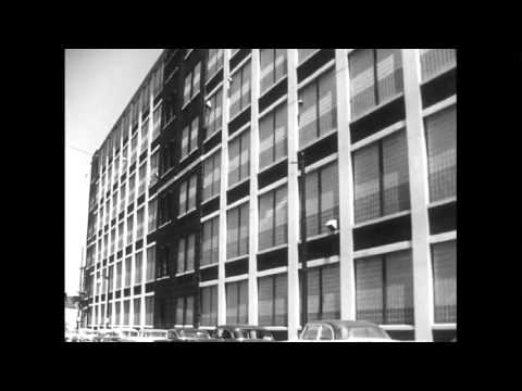 The Road Ahead - Milestone 3