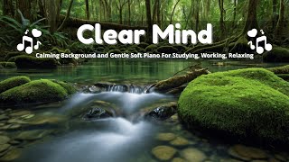 Clear Mind - Chill Slow Piano Relaxing BGM For Healing, Studying, Working, Chill, and Learning