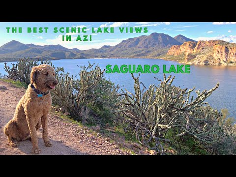 Most Beautiful Lake View Hiking In Arizona - Exploring BUTCHER JONES TRAIL With My Dog