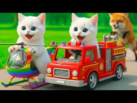 Mama Cat Trims Fur on the Farm and Makes Tiger Hat For Kittens At Home🐾🎩🐯