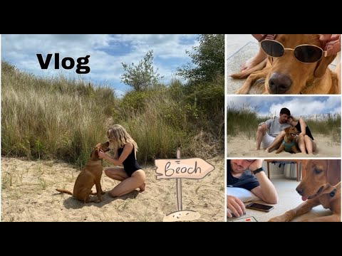 WEEKEND AWAY AT THE BEACH - VLOG