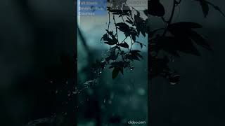 WhatsApp Video 2025 08 18 at 9 53 38 AM
