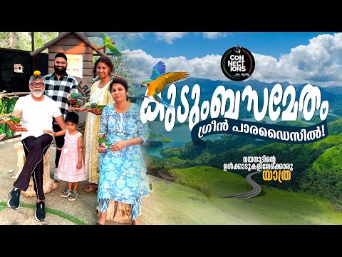 A Family Adventure into the lush forests & Windy Roads of Wayanad