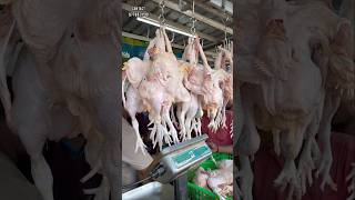 VERA LEVEL CHICKEN OFFER - Erode #erode #chicken #freshmeat #meat #broiler #offer #budget #food