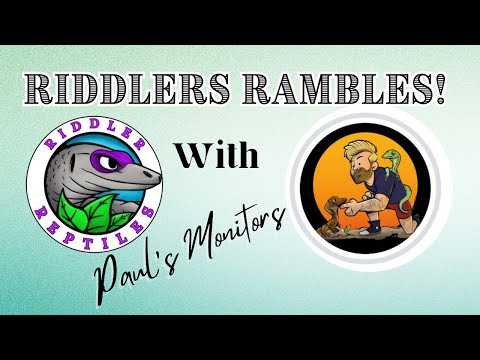 EP02 Monitor lizards and mental health with Paul's Monitors