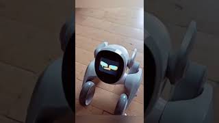 Loona playing nunchakus #loona #petrobot #airobot #loonarobot #loonareaction #petbot #nunchaku