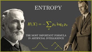 Entropy Actually Explained [Machine Learning | Information Theory] #SoMEPi