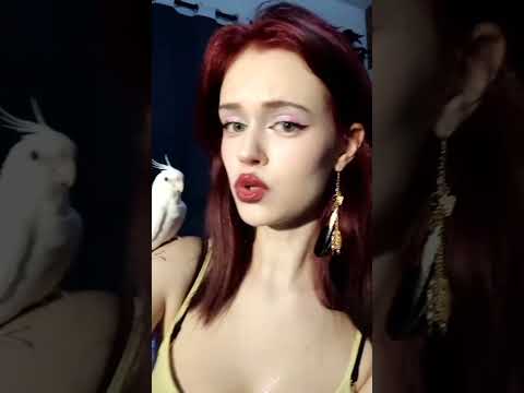 #птицы #милота #попугаи #корелла #cute