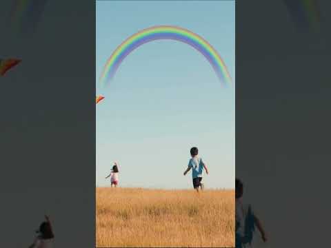 My dream is to fly