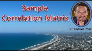 SAMPLE CORRELATION MATRIX