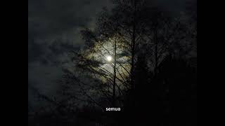 Seandainya x perih - Viera _ #lyrics Cover Albayments