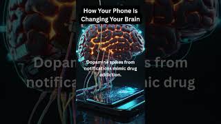 How Your Phone Is Changing Your Brain