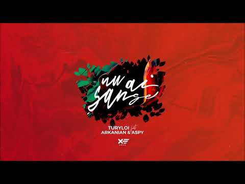 TURYLOI - Nu ai sanse (feat. Arkanian & Aspy) [Official Audio]