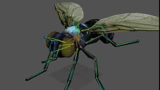 FLY