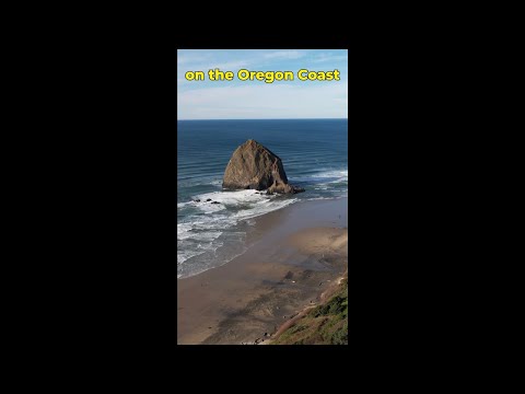 Oregon Coast Top 5 Places to Visit 🤩 (*from a local)