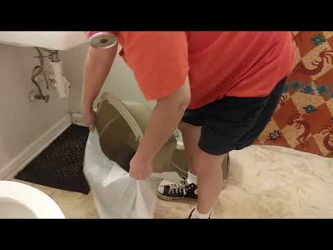 Your turn (change cat box)