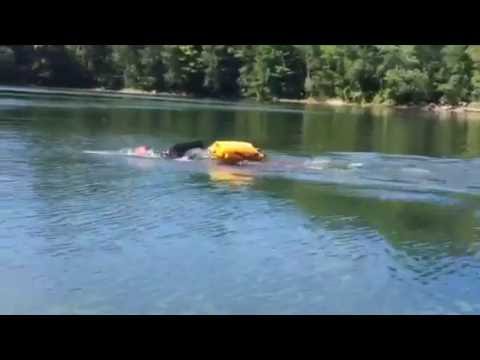 Sighting in Open Water - Alligator Eyes for Open Water Swimming