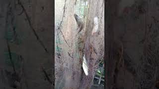 #funnyvideo #fypシ #fypシ゚viral #fvnkynightstyle #fypage #fvpシ #fypviralシ #fypyoutube #fvpl