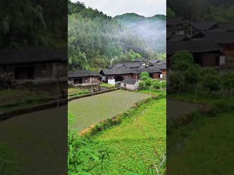 good morning llllllll 4k status video.        ////// zahangir 9zs //////