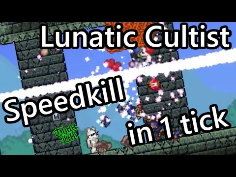 Terraria - Lunatic Cultist Speedkill in 1 tick (World Record)