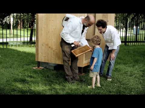 Honey Factory