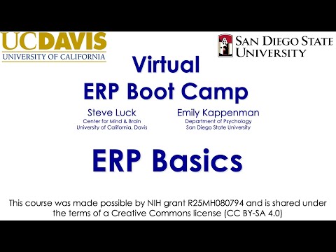 ERP Basics 6-  Common Conventions in ERP Research