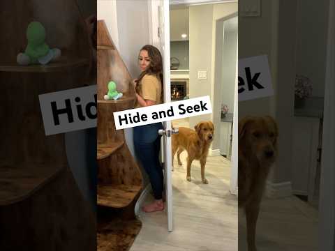 I tried to hide from my dog! #hideandseek #goldenretriever #dog