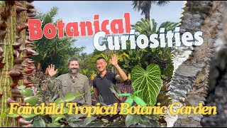 Meet TONS of Fascinating Plants! Fairchild Tropical Botanic Garden Miami 🇺🇸