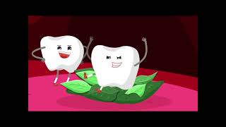 BBC Bitesize types of teeth